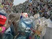 malédiction plastique...