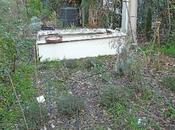 Potager hiver 2009/2010 nettoyage circonstance s'impose...