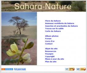 Sahara nature