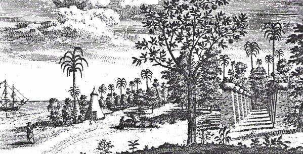 Dessin illustrant le 48e article de FD