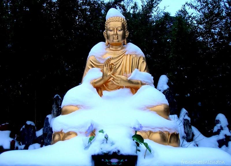 Passage eclair a Lyon