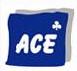 ACE Management : 3 opérations pour cloturer l'année 2009