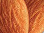 nuit s’ouvre comme amande (Francesca Y.caroutch)