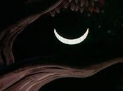 Mourre (Denise Miège)