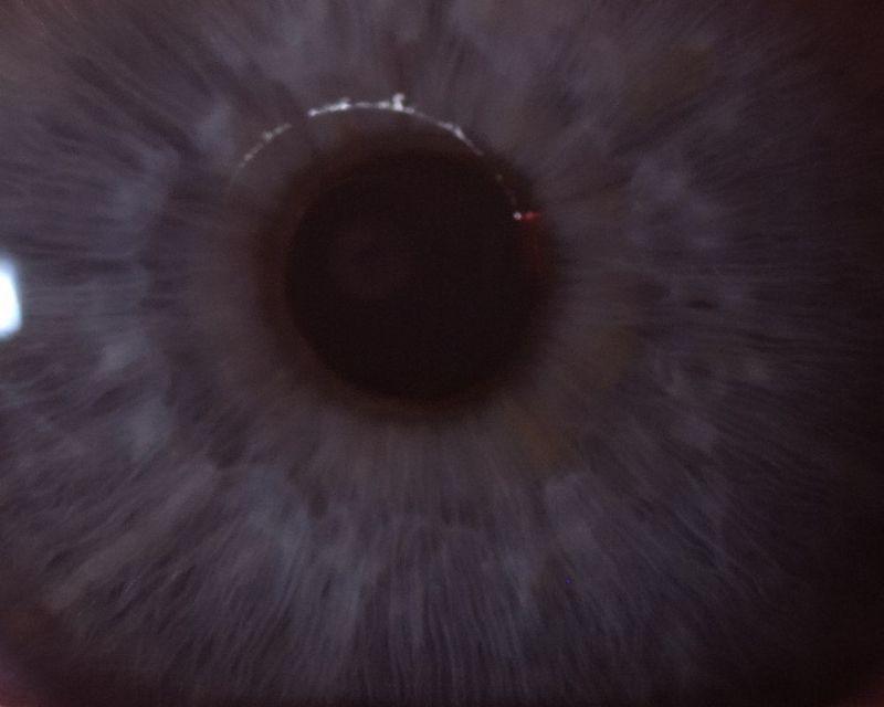 Bruit des yeux (Dominique Grandmont)