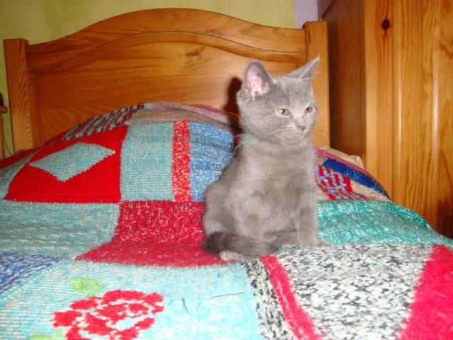 J’ai comme l’impression…