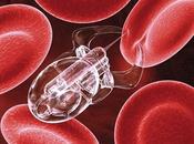 Faucheurs Volontaires Débat