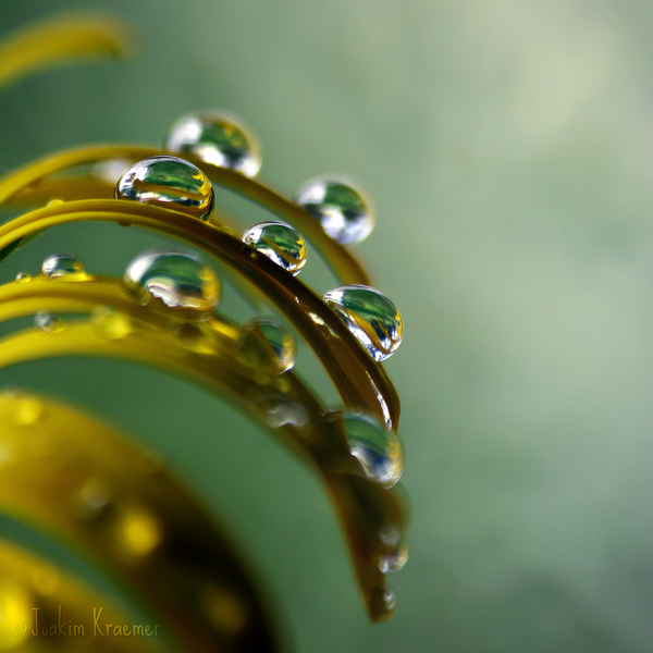 I Love Good Design #9 – Macro