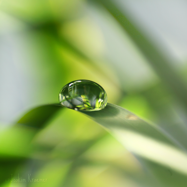 I Love Good Design #9 – Macro