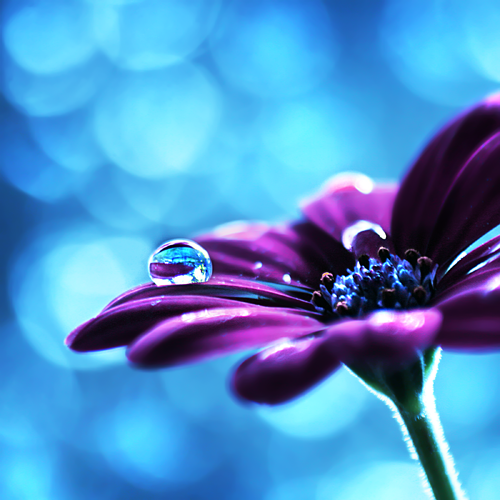 I Love Good Design #9 – Macro