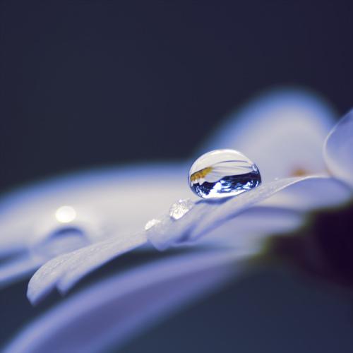 I Love Good Design #9 – Macro