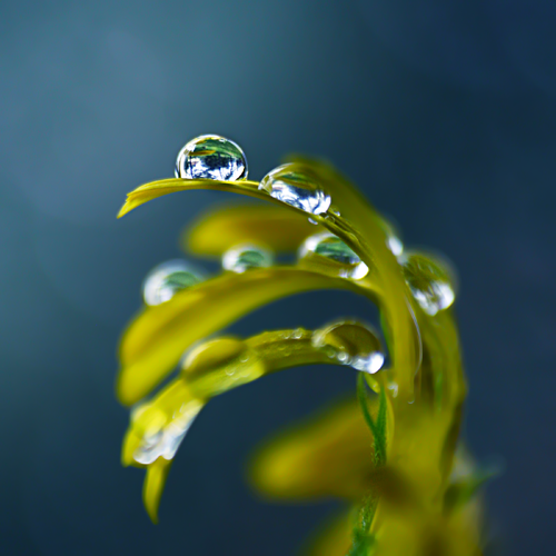 I Love Good Design #9 – Macro