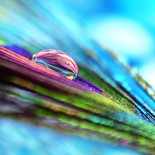 I Love Good Design #9 – Macro