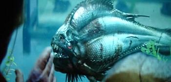 Watch This: Alexandre Aja’s Piranha 3-D First Teaser Trailer  Read more: http://www.firstshowing.net/
