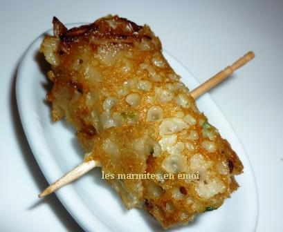 RAVA DOSA OU LE MERVEILLEUX VOYAGE