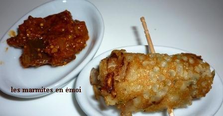 RAVA DOSA OU LE MERVEILLEUX VOYAGE