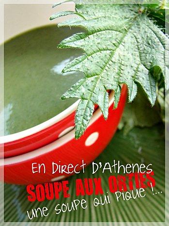 SOUPE AUX ORTIES15++