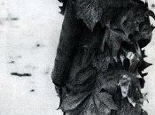 Désappointé (Christine Lièvre)