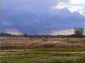 Logiciels outils adaptés besoins