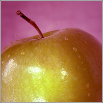 Qu’est ce que c’est le Design ?