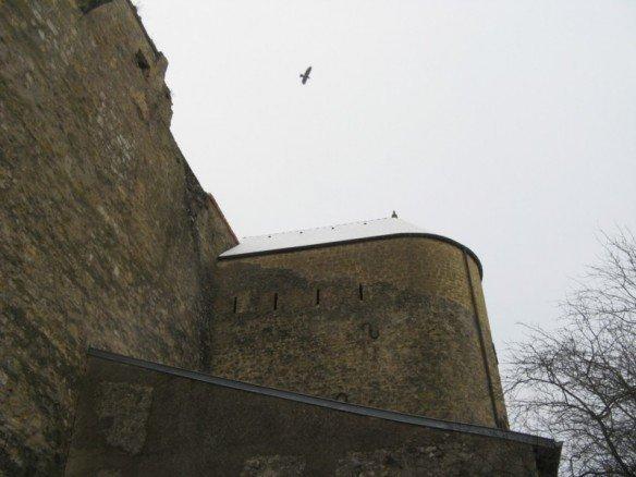 Les hauts murs de la citadelle