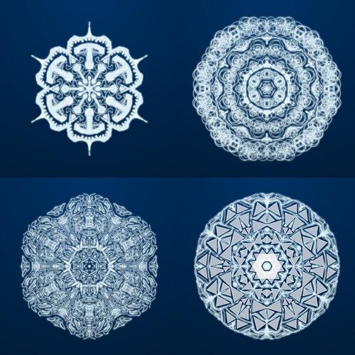 “Vous n’êtes pas exceptionnel, vous n’êtes pas...