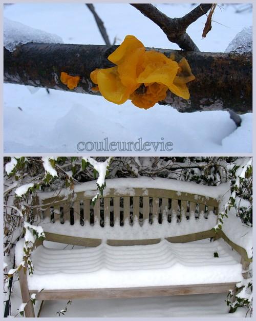 Cupcakes parfum d’orange aux zestes confits et photos de neige