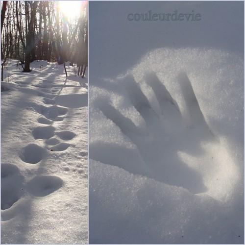 Cupcakes parfum d’orange aux zestes confits et photos de neige