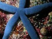 Toujours plus fort: Nami Beach…