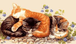 Aubergines en ratatouille et carottes marinees