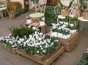 Image jour, Daylesford cyclamen Londres