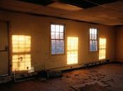 fenêtres Linzi Silverman