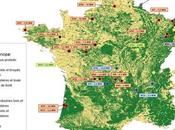 France projets d’énergie biomasse