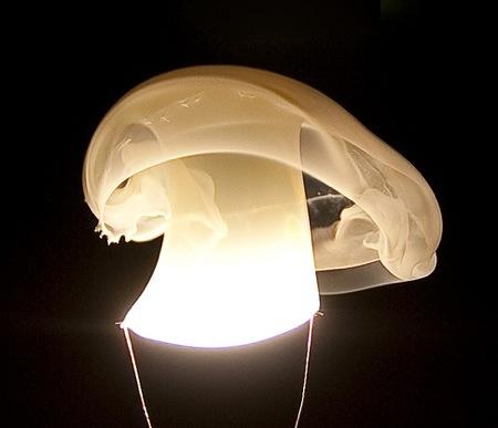 Burning Lightbulbs par Stephen De Vight