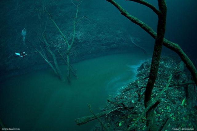Underwater_River_in_Mexico_1