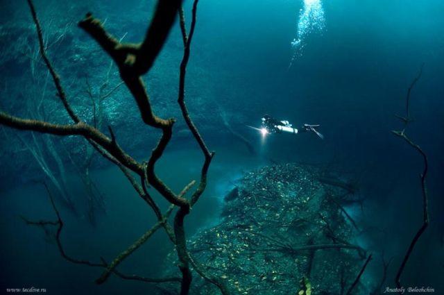 Underwater_River_in_Mexico_2