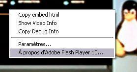 flash1 Firefox 3.5 youtube flash