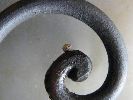 L’escargot! (Yamaguchi Seishi)