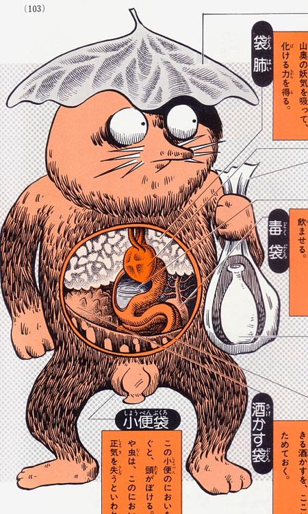 Anatomie des monstres japonais