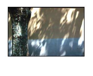 Po-me  bl-me arpente la muraille