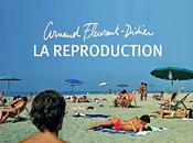Arnaud Fleurent-Didier reproduction"