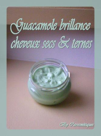 guacamole_brillance_cheveux_secs_et_ternes