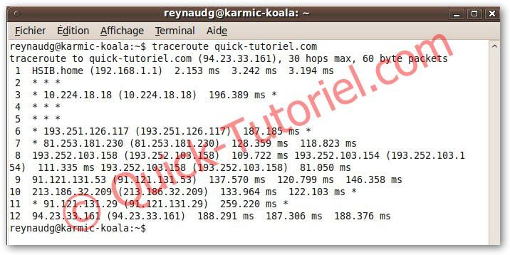 #149 Etablir un diagnostic réseau en mode terminal sous Ubuntu.