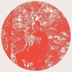 Semaine 03 : Owen Pallett - Heartland [Domino]
