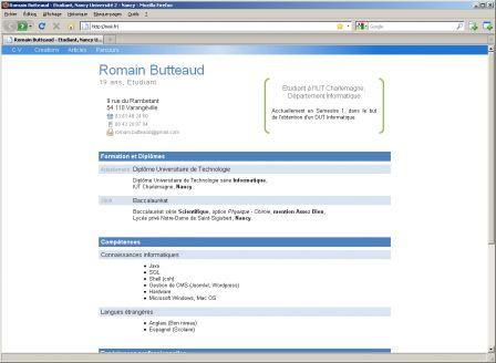 Romain Butteaud : Chroniques d'une contrefaçon