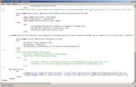 Romain Butteaud : Chroniques d'une contrefaçon