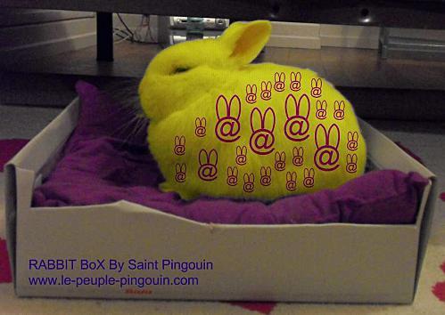 rabbid-box.png