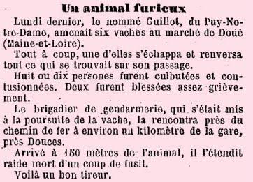 ..FAIT DIVERS1888 UN BON TIREURC'est le nommé Guillot qui...