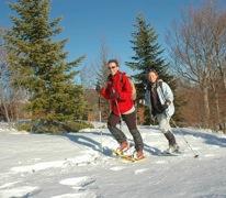 La montagne de Lure l'occasion idéale d'une escapade provençale à la neige