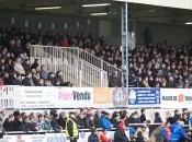 XIII Dragons Catalans belle fête